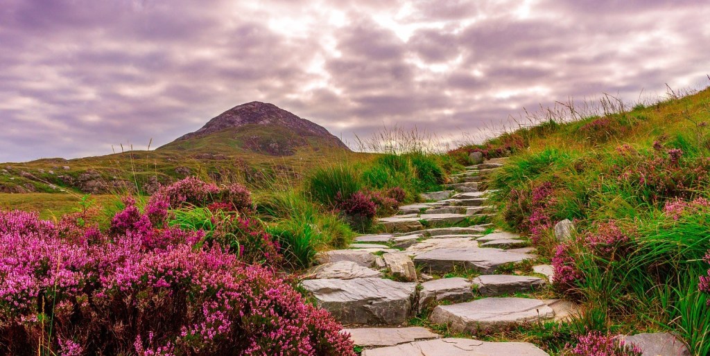 Taking the Journey: Healing&nbsp;Trauma